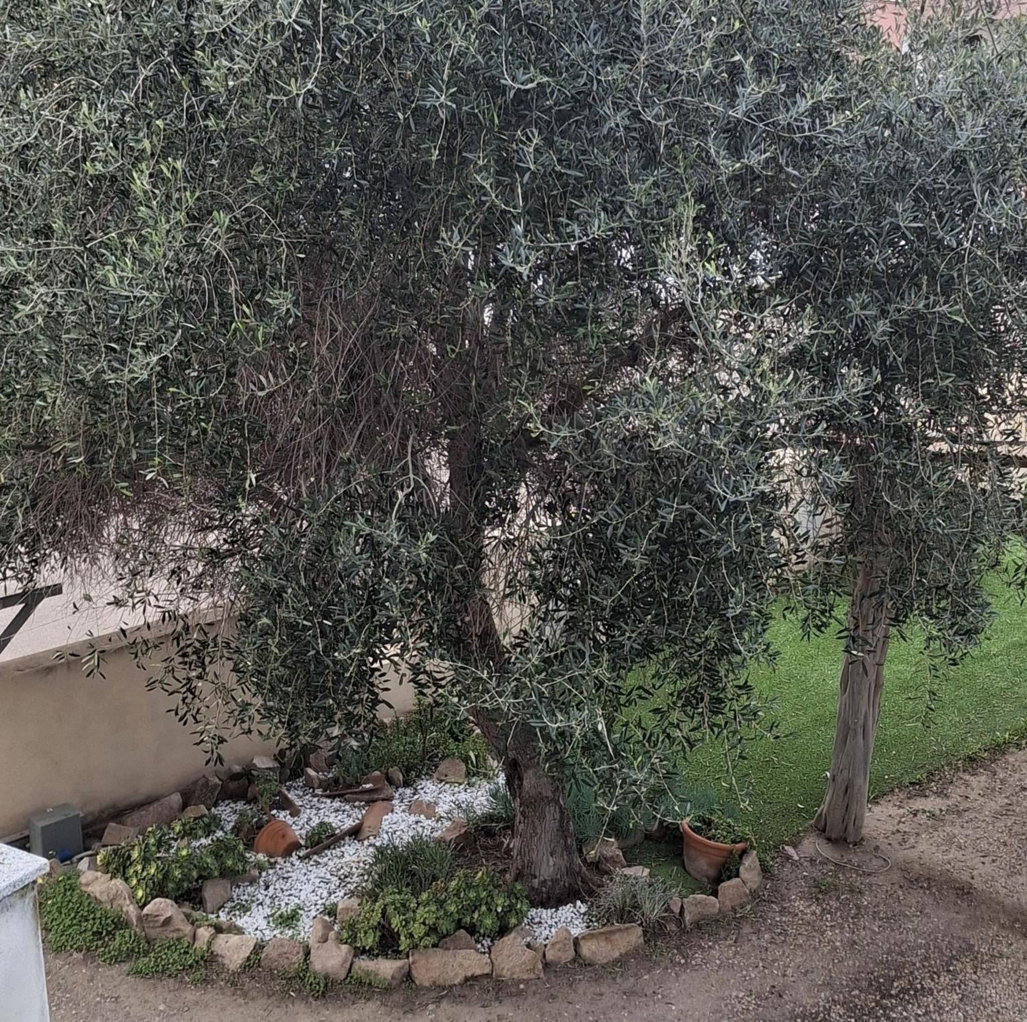 Valle Appartamento